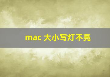 mac 大小写灯不亮